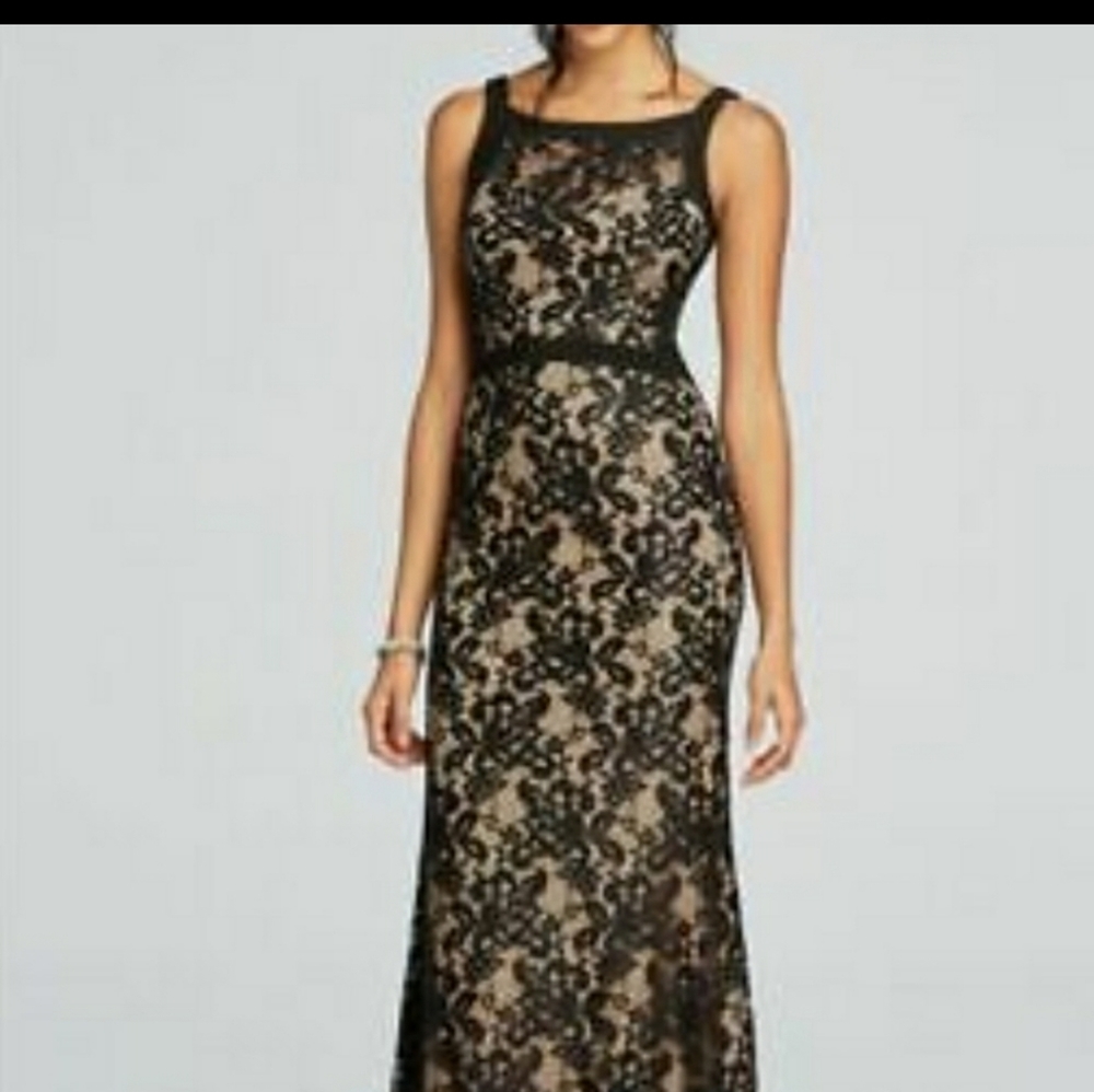 Beautiful Elegant Lace Evening Gown